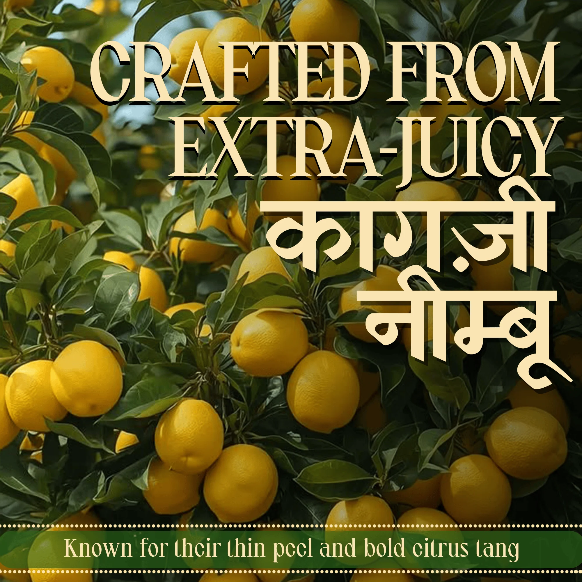 Lemon Pickle - Natural Sun Dried - Image 8